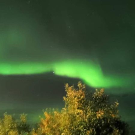 Aurora Rooms In Shared Apartment Nr2 We Are Doing Privet Northen Lights Trips, Reindeer Trip And Fjord Sommaroy Trip トロムソ エクステリア 写真