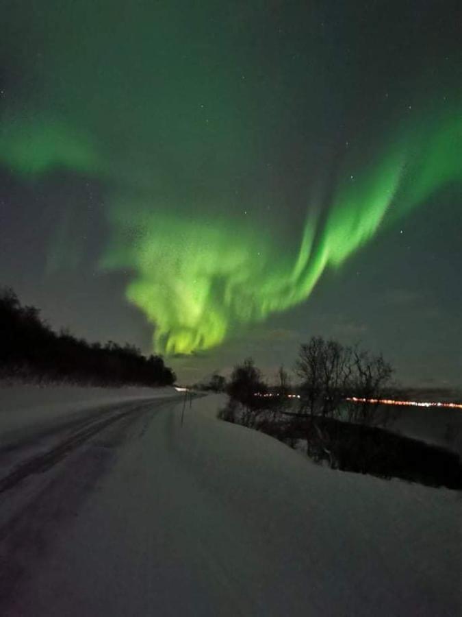 Aurora Rooms In Shared Apartment Nr2 We Are Doing Privet Northen Lights Trips, Reindeer Trip And Fjord Sommaroy Trip トロムソ エクステリア 写真